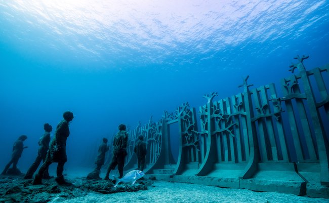 海の底に広がる 美術館 が不気味なほど神秘的 まぐまぐニュース