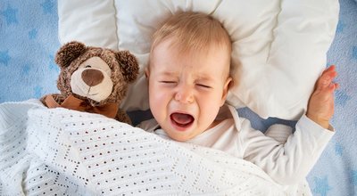 shutterstock_332729177