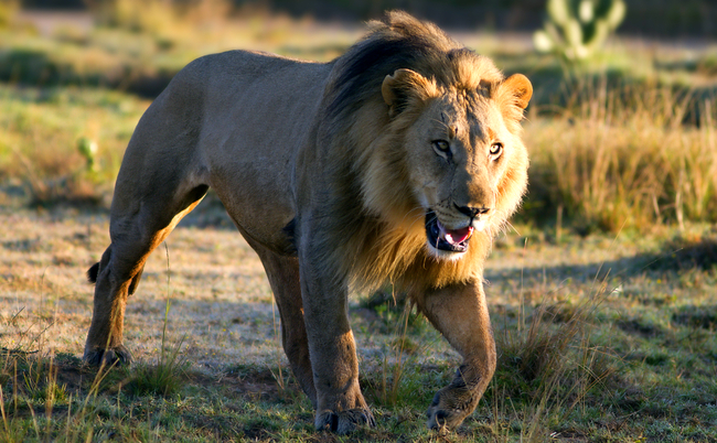 shutterstock_63074227