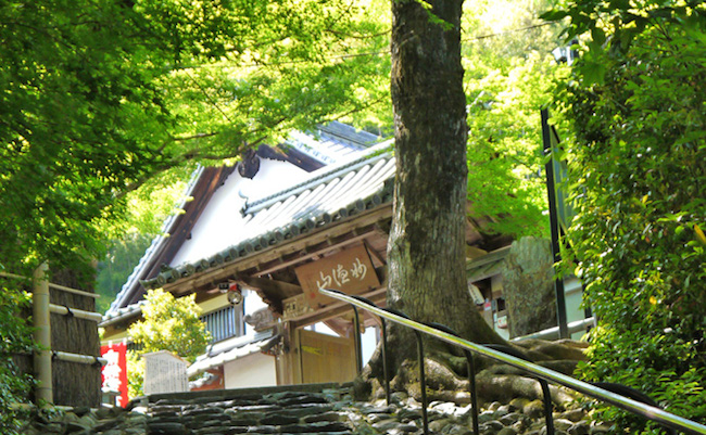 京都で300年。「願いが叶うお寺」で有名な鈴虫寺のヒミツ