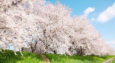 shutterstock_384080617