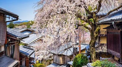 shutterstock_453265087