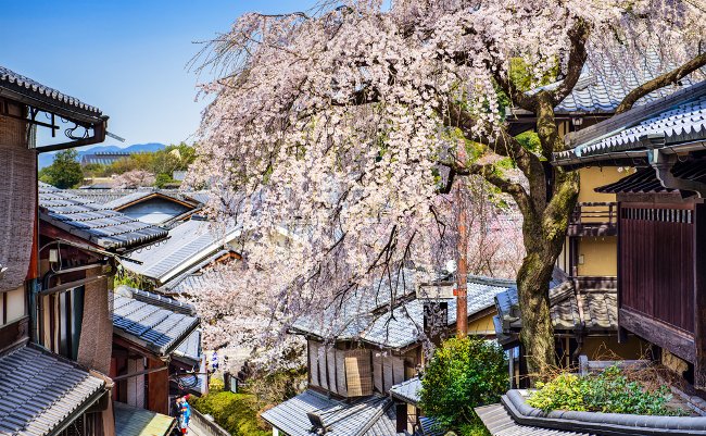京都らしさのすべてがある。五感で古都に触れられる花見小路の旅