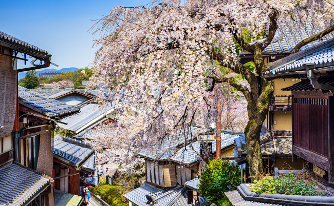 shutterstock_453265087