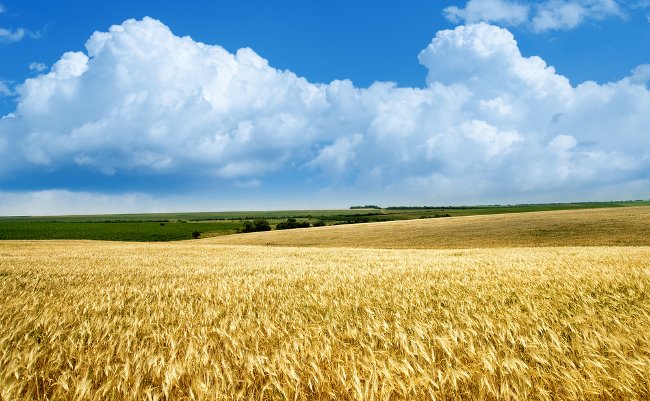 shutterstock_76949869