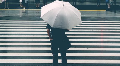 shutterstock_547218190