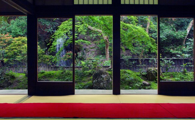 新緑が目にしみる。旅慣れた人だけが集う、初夏の京都を堪能する