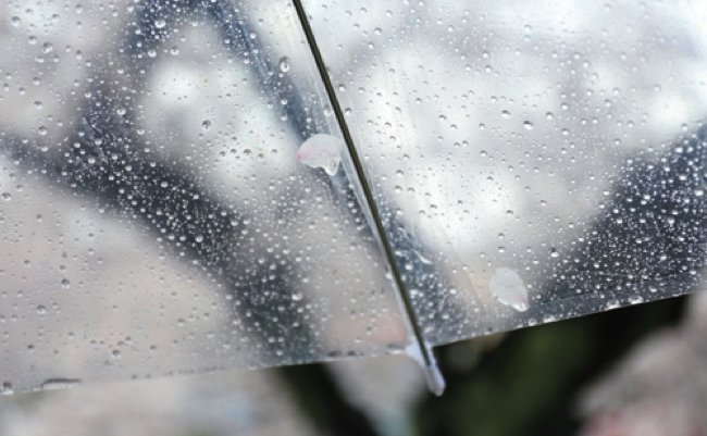 149499664062205100 copy