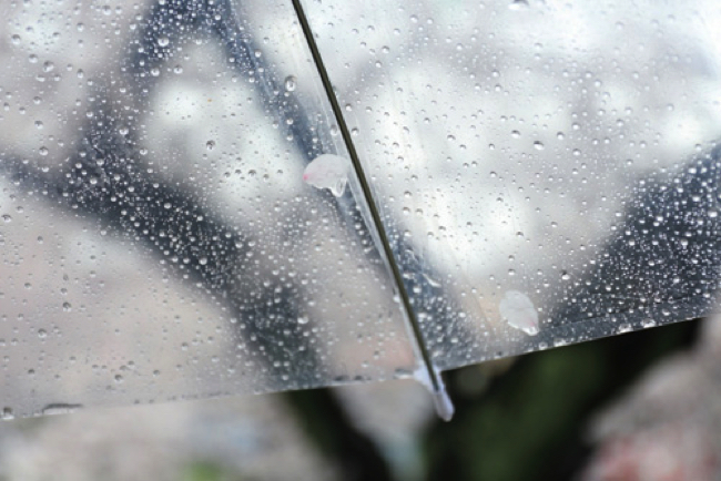 149499664062205100 copy