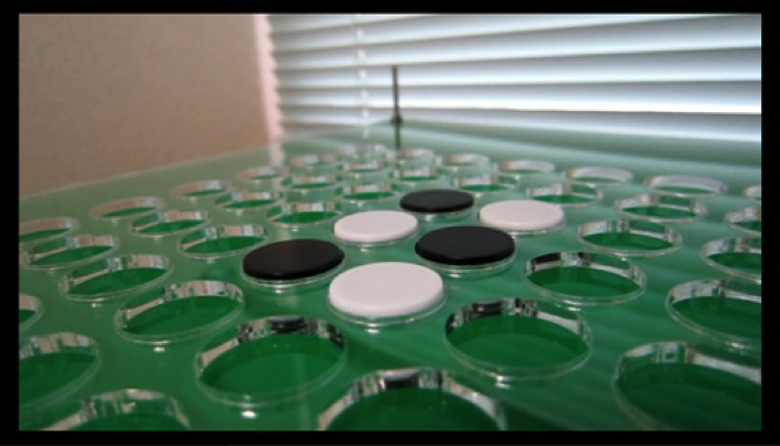 149500685062657200 copy