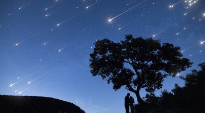 shutterstock_349997849