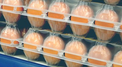 shutterstock_457238386