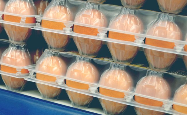 スーパーで売っている卵の「賞味期限」に隠されたズルい手口