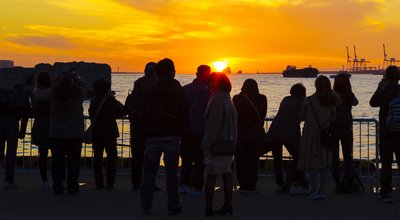 shutterstock_555671125