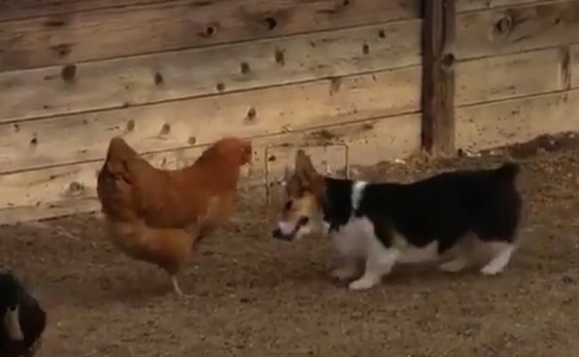 スクリーンショット 2017-06-16 19.16.05