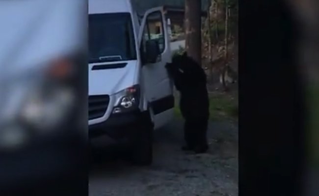 スクリーンショット 2017-06-22 1.41.13