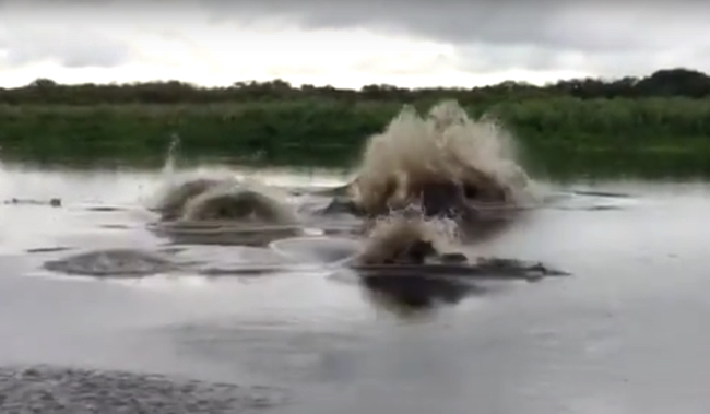 スクリーンショット 2017-06-23 2.59.00