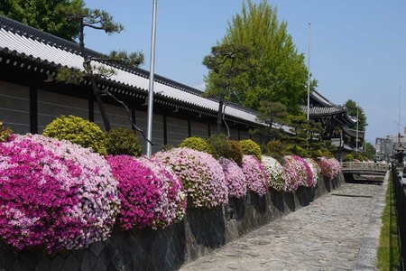 kyoto20170615-1