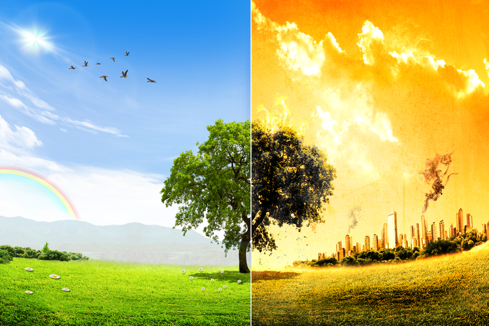 shutterstock_195151628