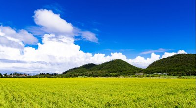 shutterstock_442377019