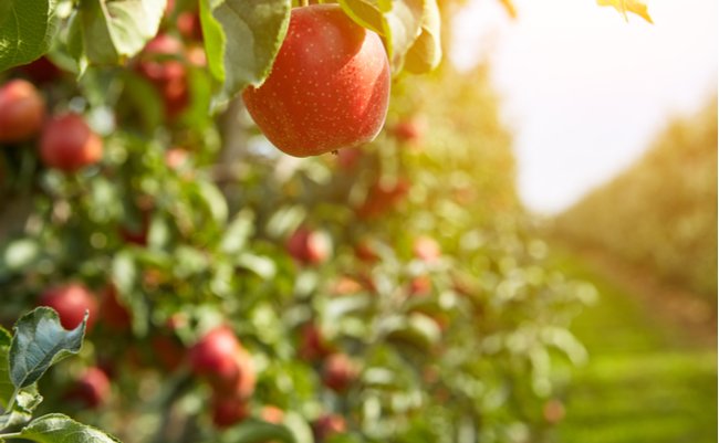 shutterstock_467568311