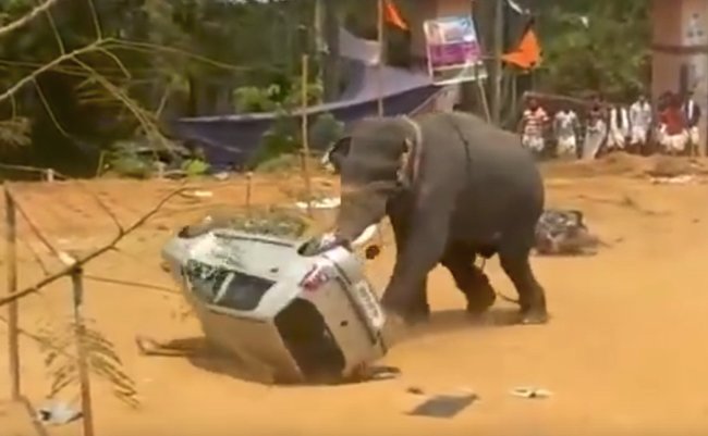 スクリーンショット 2017-07-14 17.20.12