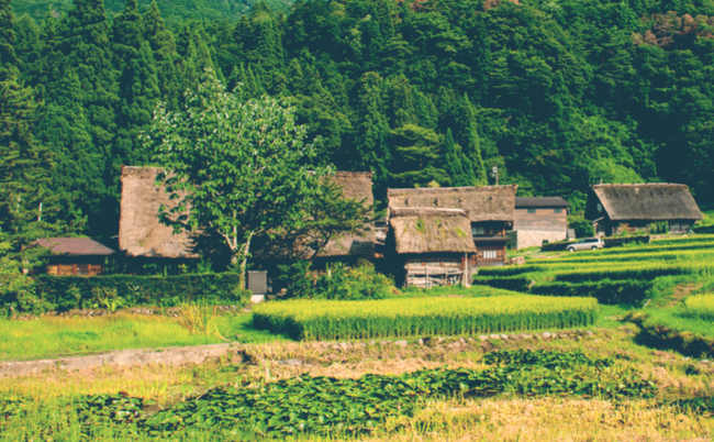 shutterstock_187030193