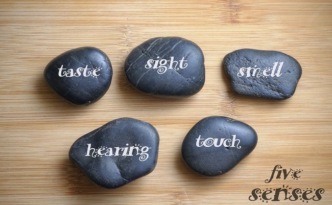 shutterstock_241713424