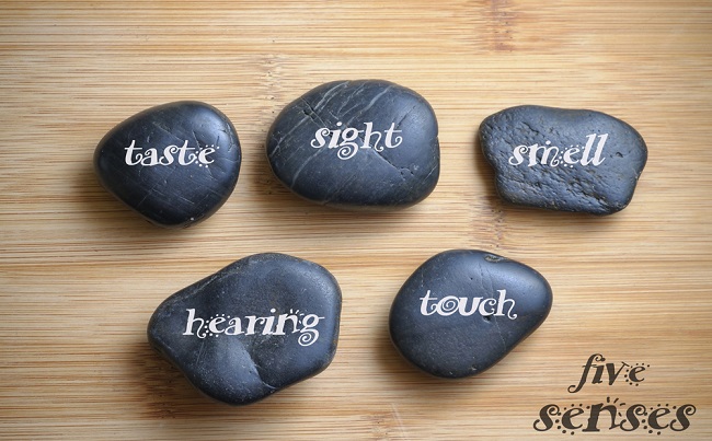 shutterstock_241713424