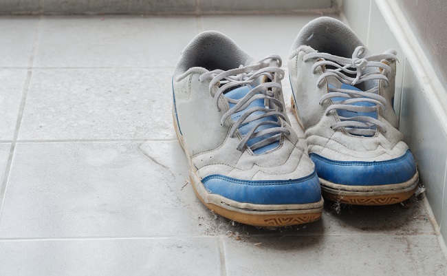 shutterstock_448351360