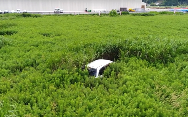 スクリーンショット 2017-08-03 19.54.22