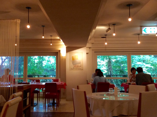 東京23区で唯一の渓谷。世田谷区「等々力渓谷」でグリーンエクササイズ