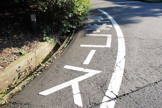 最近、空を見上げてる? 国立三鷹天文台で宇宙に思いを馳せる散歩