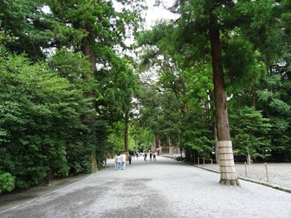 牛丼は人気チェーン店だけのものじゃない。伊勢の老舗で味わう1000円牛丼