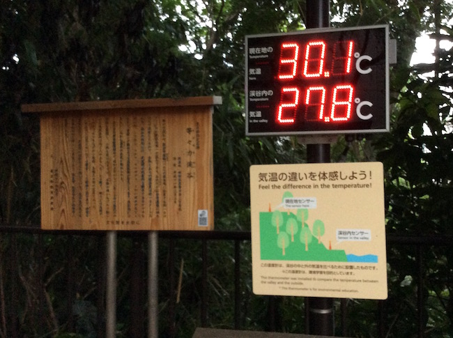 東京23区で唯一の渓谷。世田谷区「等々力渓谷」でグリーンエクササイズ
