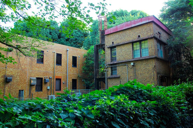 最近、空を見上げてる? 国立三鷹天文台で宇宙に思いを馳せる散歩