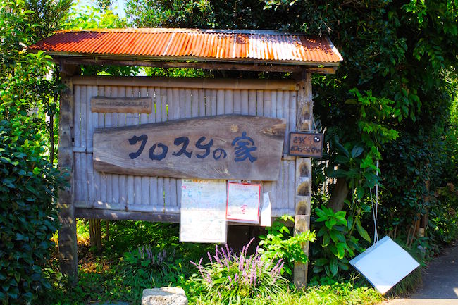 ほんとにトトロいたんだもん。埼玉に実在する「トトロの森」に潜入