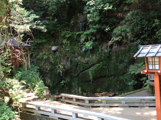 東京23区で唯一の渓谷。世田谷区「等々力渓谷」でグリーンエクササイズ