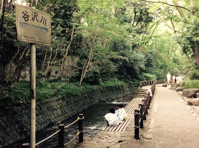 東京23区で唯一の渓谷。世田谷区「等々力渓谷」でグリーンエクササイズ