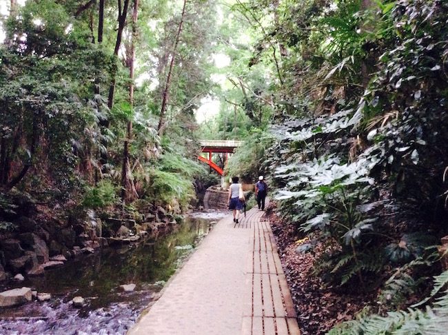 東京23区で唯一の渓谷。世田谷区「等々力渓谷」でグリーンエクササイズ
