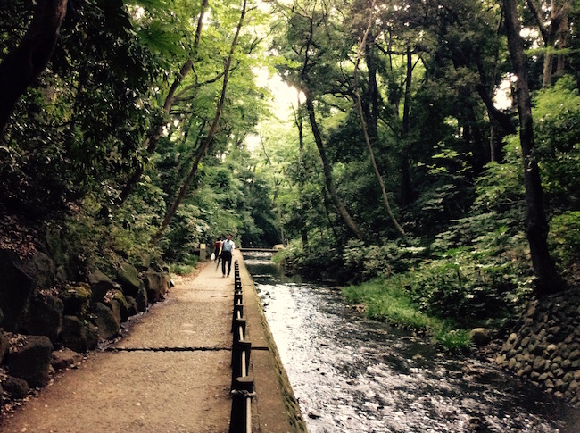 東京23区で唯一の渓谷。世田谷区「等々力渓谷」でグリーンエクササイズ