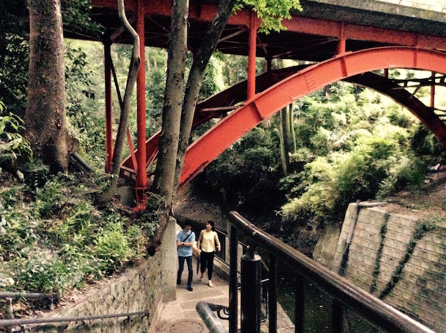 東京23区で唯一の渓谷。世田谷区「等々力渓谷」でグリーンエクササイズ