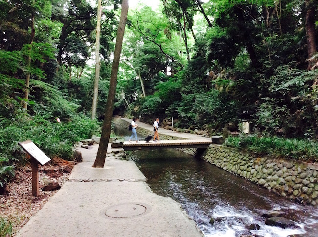 東京23区で唯一の渓谷。世田谷区「等々力渓谷」でグリーンエクササイズ