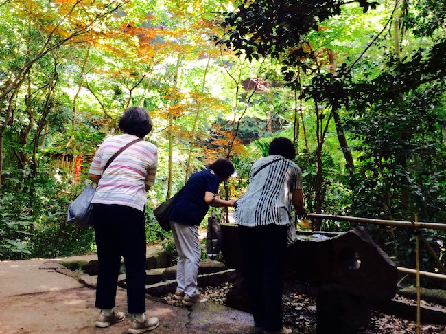 東京23区で唯一の渓谷。世田谷区「等々力渓谷」でグリーンエクササイズ