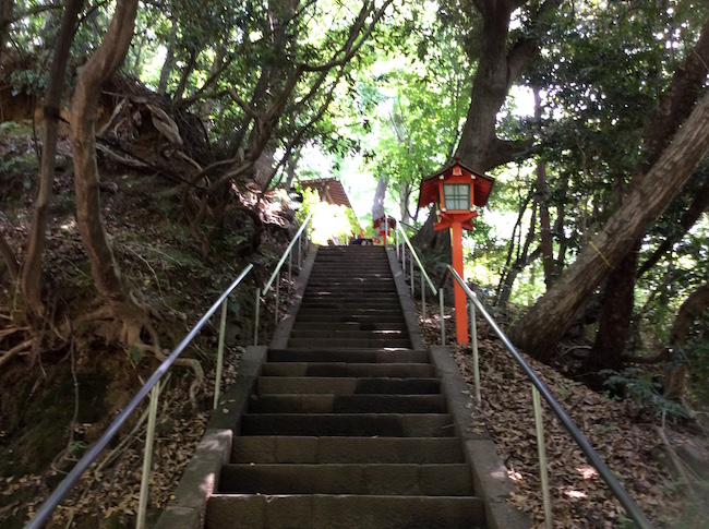 東京23区で唯一の渓谷。世田谷区「等々力渓谷」でグリーンエクササイズ