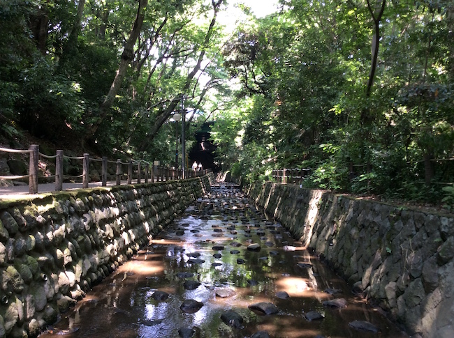 東京23区で唯一の渓谷。世田谷区「等々力渓谷」でグリーンエクササイズ