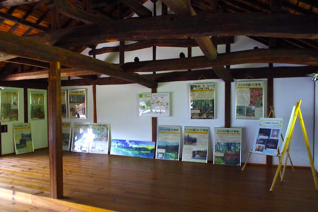 ほんとにトトロいたんだもん。埼玉に実在する「トトロの森」に潜入