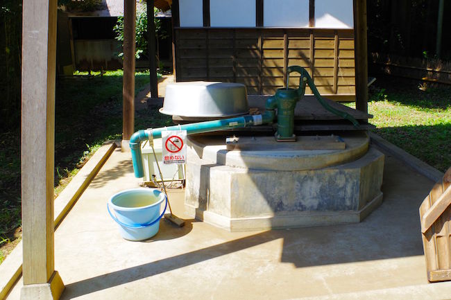 ほんとにトトロいたんだもん。埼玉に実在する「トトロの森」に潜入