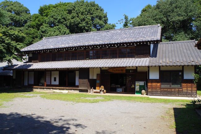 ほんとにトトロいたんだもん。埼玉に実在する「トトロの森」に潜入