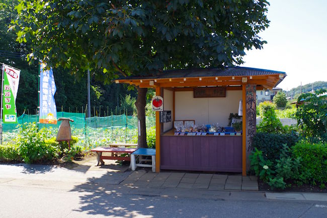 ほんとにトトロいたんだもん。埼玉に実在する「トトロの森」に潜入